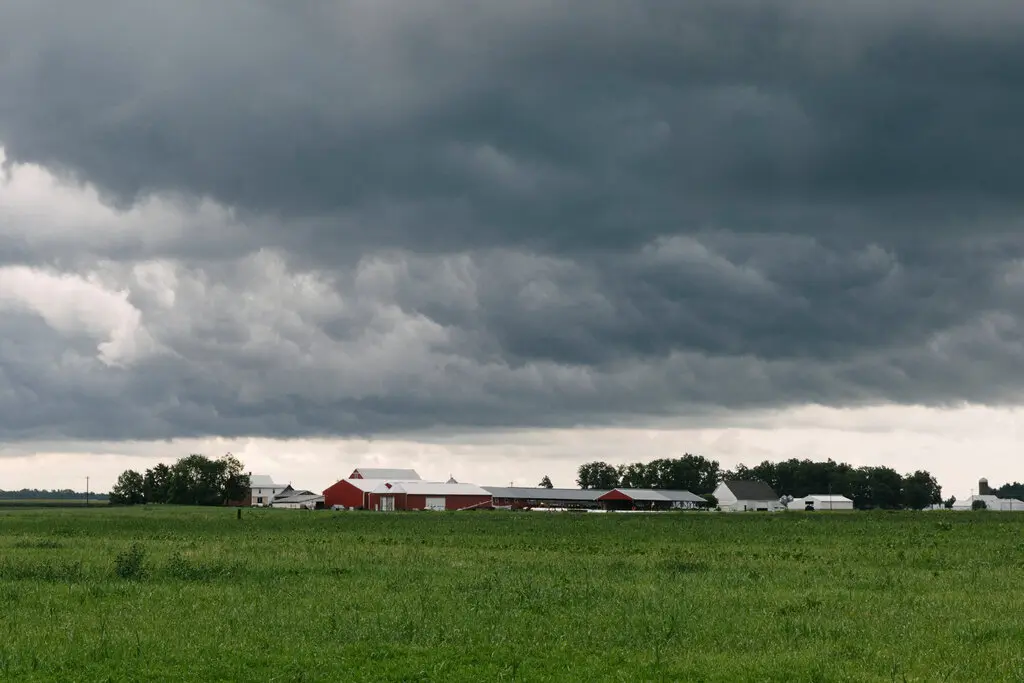Jon Husted Voted Three Times to Keep the Tariffs Squeezing Ohio Farmers. Now Trump Is Dropping the Tariff on Imported Ground Beef.