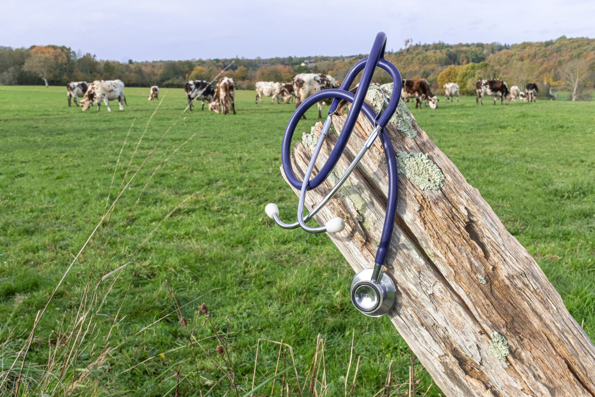 Tennessee Now Has the Highest Share of Rural Hospitals at Risk of Closing in America. David Kustoff Sits on the Committee That Wrote the Cuts.