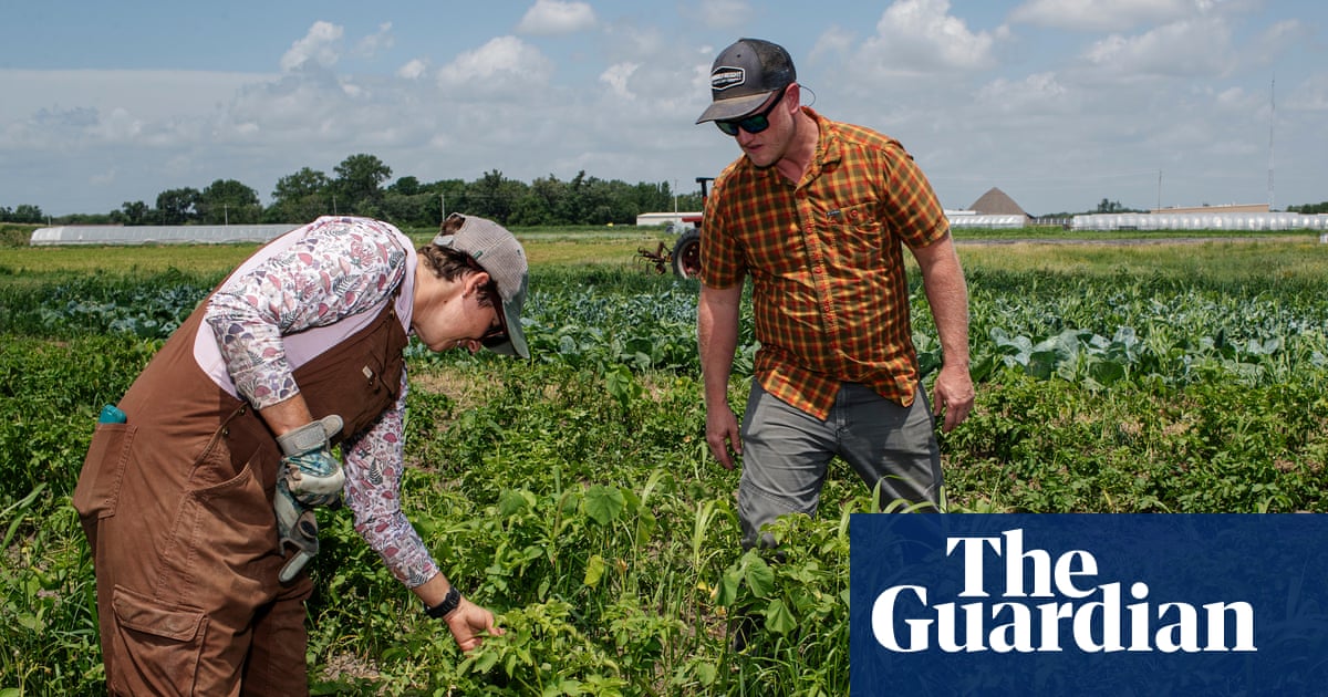 Trump's USDA Cuts Are Gutting Iowa's Small Farmers — In Mariannette Miller-Meeks's Own District
